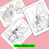 butterflies color sheets