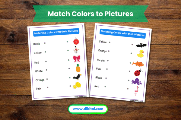 Color and Learn Activity Book – 50 Pages of Fun for Kids Mock 4