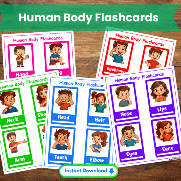 Human Body Flashcards – 12 Printable worksheets for Kids Main mock