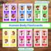 Human Body Flashcards – 12 Printable worksheets for Kids mock 1