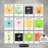 Set of 12 Cocktail Wall Art Prints Main Mock